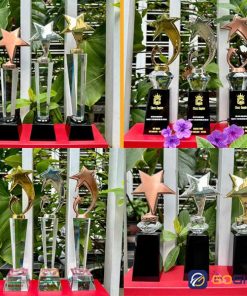 Cúp vinh danh nhân viên xuất sắc ngôi sao kim loại