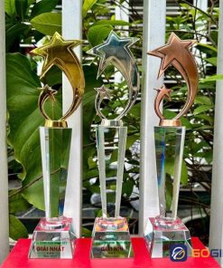 Cúp vinh danh nhân viên xuất sắc ngôi sao kim loại 4