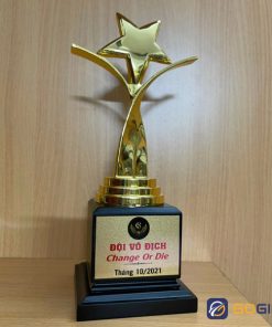 Mẫu cúp ngôi sao mạ 05