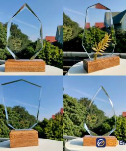 Cúp pha lê đế gỗ lưu niệm