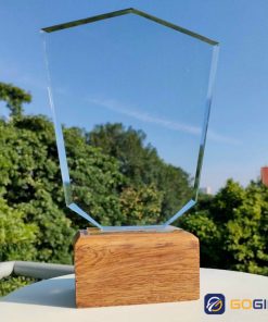 Cúp pha lê đế gỗ lưu niệm 3