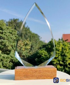 Cúp pha lê đế gỗ lưu niệm 4