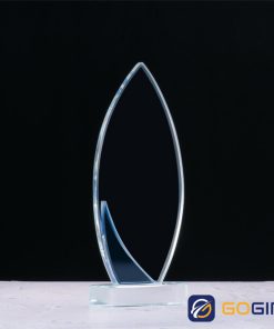 Kỷ niệm chương bo cạnh hai màu 3