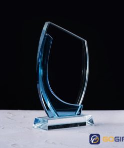 Kỷ niệm chương bo cạnh hai màu 1