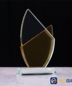 Kỷ niệm chương cánh buồm hai màu 1