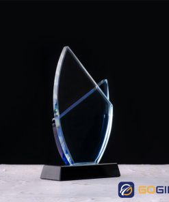 Kỷ niệm chương cánh buồm hai màu 2