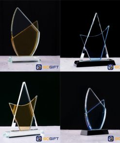 Kỷ niệm chương cánh buồm hai màu