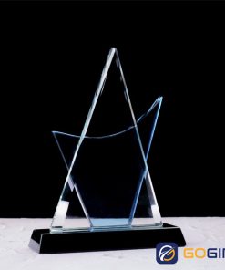 Kỷ niệm chương cánh buồm hai màu 3