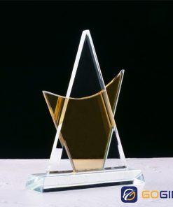 Kỷ niệm chương cánh buồm hai màu 4