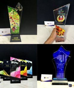 Kỷ niệm chương vinh danh in hình theo yêu cầu