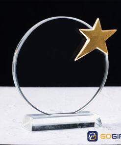 Kỷ niệm chương ngôi sao khen thưởng 1