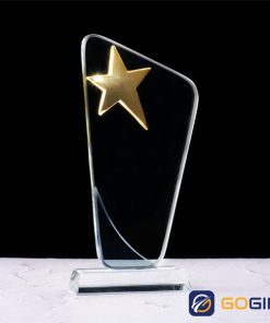 Kỷ niệm chương ngôi sao khen thưởng 2