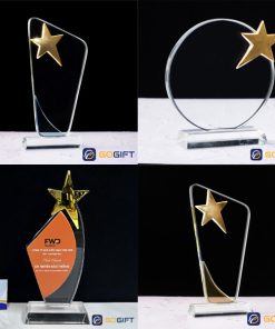 Kỷ niệm chương ngôi sao khen thưởng