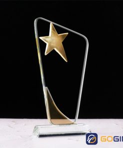 Kỷ niệm chương ngôi sao khen thưởng 3