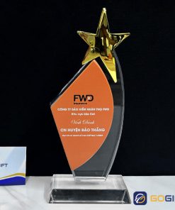 Kỷ niệm chương ngôi sao khen thưởng 4