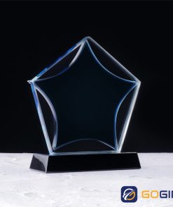 Kỷ niệm chương ngôi sao vinh danh 1