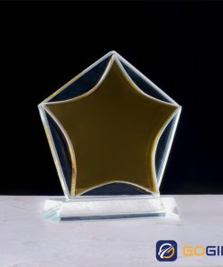 Kỷ niệm chương ngôi sao vinh danh 2