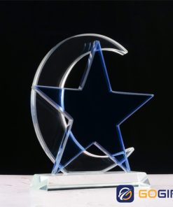 Kỷ niệm chương ngôi sao vinh danh 3