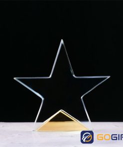 Kỷ niệm chương ngôi sao vinh danh 4