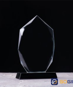 Kỷ niệm chương pha lê khen thưởng 4