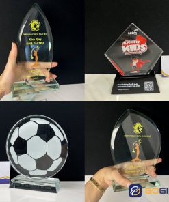 Kỷ niệm chương trao tặng cá nhân xuất sắc