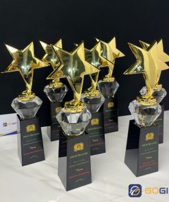 Thân nhập mẫu 10