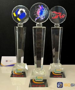 Thân nhập mẫu 16