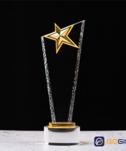 Thân nhập mẫu 2