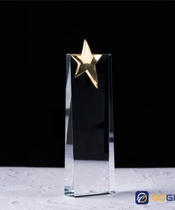 Thân nhập mẫu 8