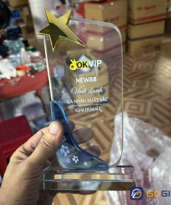 cúp pha lê phối 2 màu 9