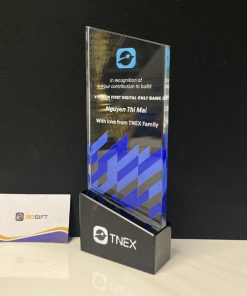 Cúp pha lê in theo yêu cầu 3