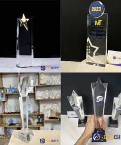 Cúp phale thân nhập cao cấp 0020