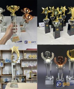 Cúp phale thân nhập cao cấp 030