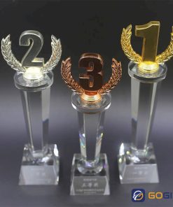 Cúp phale thân nhập cao cấp 0300