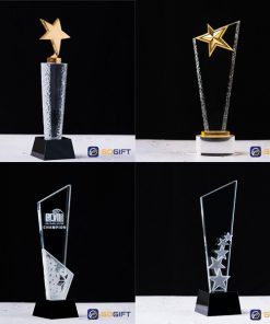 Cúp phale thân nhập cao cấp 1