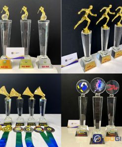 Cúp phale thân nhập cao cấp 4