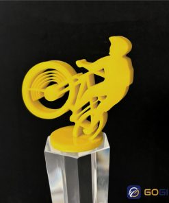 Cúp vinh danh giải đua xe đạp VTV CTR74 2