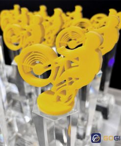 Cúp vinh danh giải đua xe đạp VTV CTR74 3