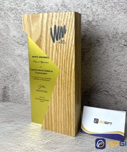 Cúp vinh danh khen thưởng doanh nghiêp CTR76 2