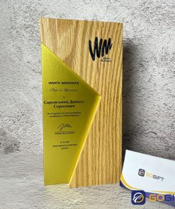 Cúp vinh danh khen thưởng doanh nghiêp CTR76 3