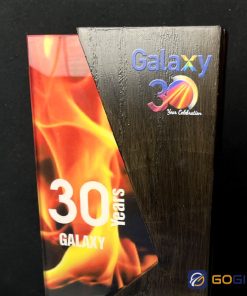 Cúp thiết kế Galaxy Loyalty Awards 2024 3