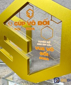 Cúp thiết kế thể thao 5Cores 3