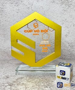 Cúp thiết kế thể thao 5Cores