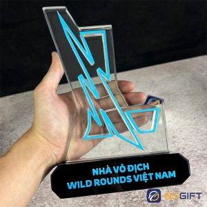 Cúp thiết kế Wild Rounds Việt Nam 2024 3