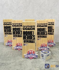 Cúp thiết kế Favourite Coach 3