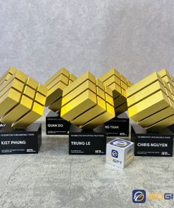 Cúp thiết kế TK Ventures kim loại