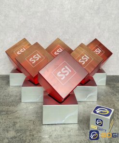 Cúp thiết kế vinh danh SSI 2025 3