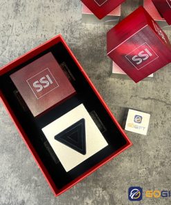 Cúp thiết kế vinh danh SSI 2025 4