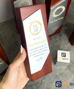 Cúp thiết kế vinh danh cống hiến Everlife CTR131 3