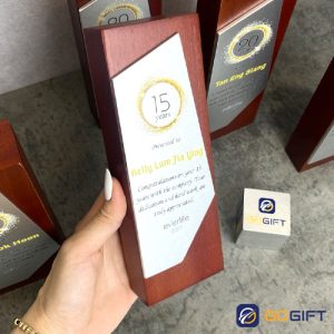 Cúp thiết kế vinh danh cống hiến Everlife CTR131 3